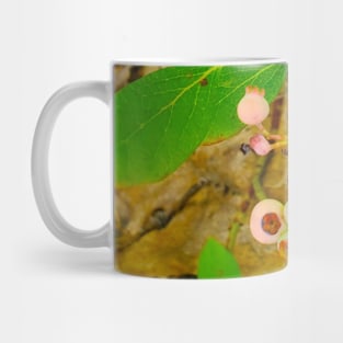 Wild Blueberries Mug